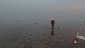 Охота....просто моменты насколько бывает не просто и трудно на охоте на водоплавающих!