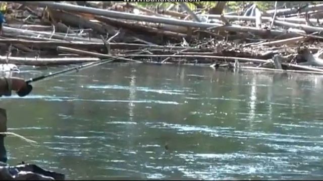 Поход по Таюре, июль-август 2010. Часть 6 - Рыбалка смотреть онлайн