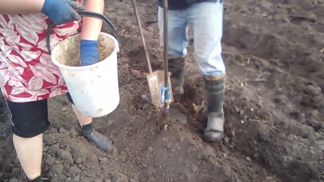 Инновации в посадке картофеля смотреть онлайн