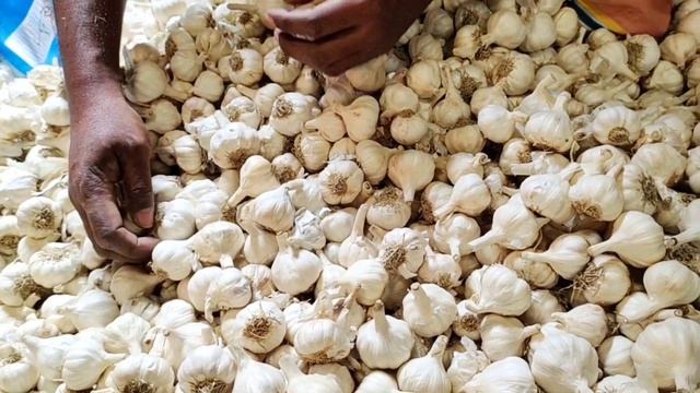 হঠাৎ ইতিহাস ঘটলো পেঁয়াজের দামে! আজকের পেঁয়াজ রসুন আলুর পাইকারি বাজার দাম কত জানুন | Kushtia Tv BD смотреть онлайн