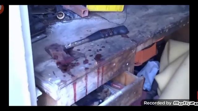 обзор на черного кота смотреть онлайн