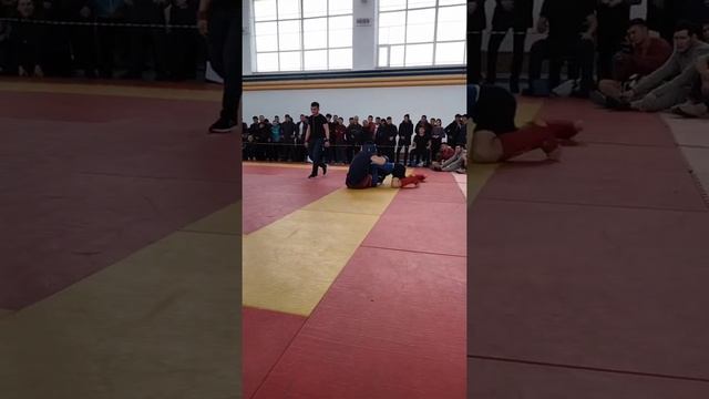 Панкратион чемпионат области ВКО смотреть онлайн