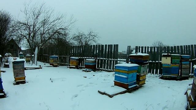 В гостях у пчеловода. Обзор пасеки. смотреть онлайн