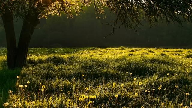 “Я ухожу от тебя. У меня есть женщина и ей скоро рожать“ - сказал муж бездетной, по его вине, жене. смотреть онлайн