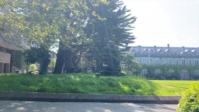 Кому Ирландия выдает визы сейчас? Новости вакцинации и границ. смотреть онлайн