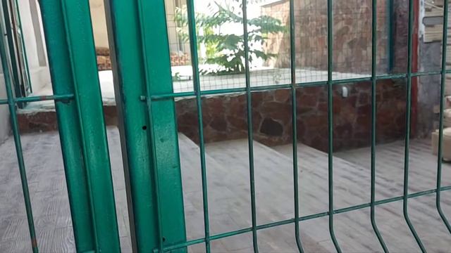 Брошенный щенок. Жара. Голодный. Замученный жаждой. Цыган он. #animalshelter  #приютдлясобак