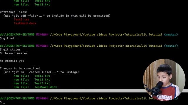 Git And GitHub Tutorial For Beginners #2 | Learning The Git Stages | Programming Fire смотреть онлайн
