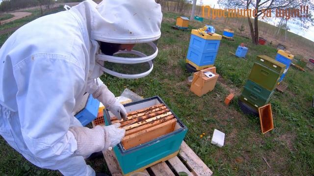 Изолируем маток в бигуди смотреть онлайн