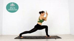 Динамическая ЙОГА ФЛОУ - Йога 40 минут - Йога chilelavida