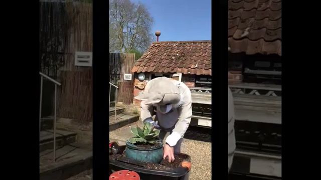 Tom Hart Dyke - The World Garden Easter Gardening Tips! смотреть онлайн