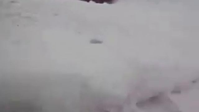 Село в снегу на Алтае 2017 смотреть онлайн