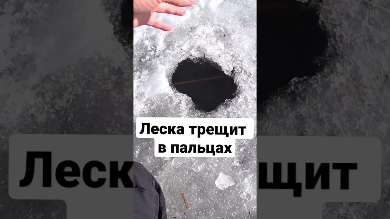 Непредсказуемая река. #shorts #рекомендации #fish #fishing #рыбалка смотреть онлайн