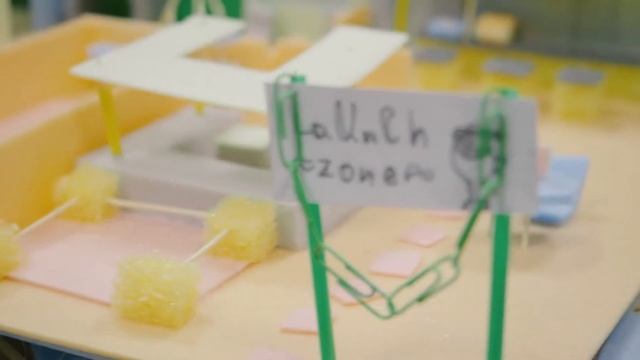 Профильное направление 