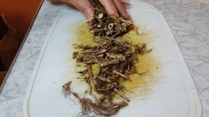 Родиола Розовая. Заготовка корня. Свойства. Применение.