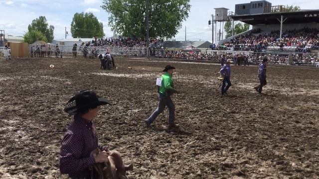 One TOUGH Wild Horse Race - 2018 Miles City Bucking Horse Sale - 3rd Race смотреть онлайн