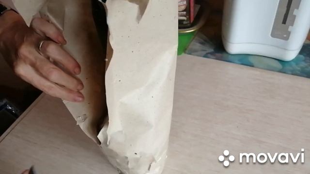 #Phal. Phantom#Орхидея ФАНТОМ#Посылка с Краснодарского края#