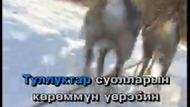 Маннайгы хаар