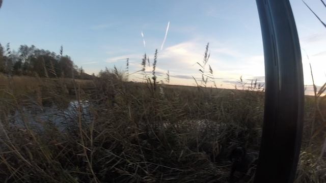 не дождался :( смотреть онлайн