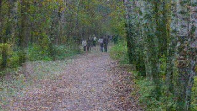 Прогулка по Лосиному острову смотреть онлайн