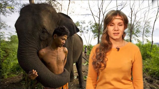 Зеленая волна. Ответ за тех, кого мы приручили! смотреть онлайн