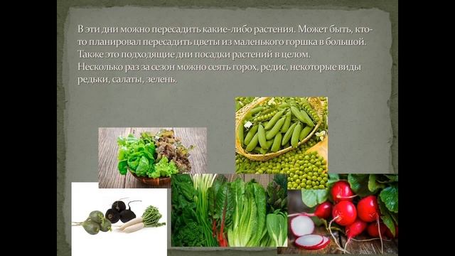 Благоприятные дни для посадки растений (июнь 2022) смотреть онлайн