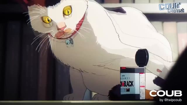 COUB #76_ COUB'ернутый _ амв _ anime amv _ amv coub _ аниме