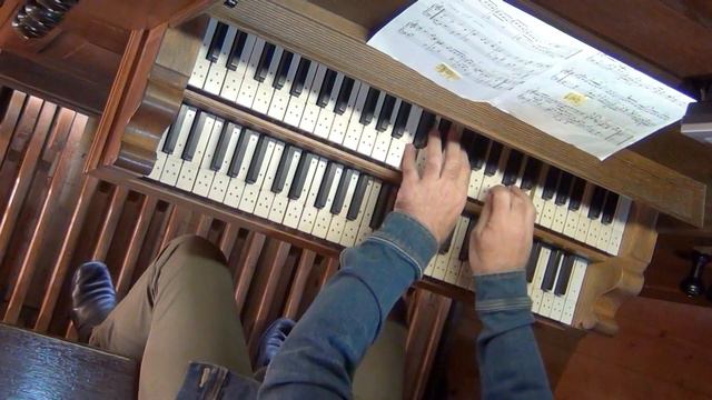 William BYRD  'Pavane The Earle Of Salisbury' #willemvantwillert Rohlfing/Reil Organ  Wapenveld [NL