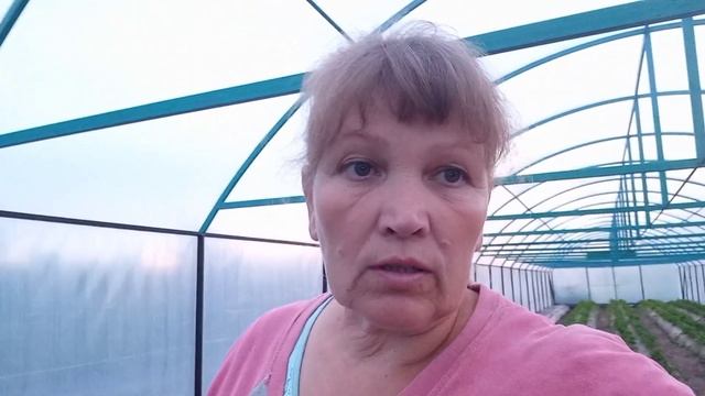 мульчирующая пленка и агроволокно для клубники смотреть онлайн