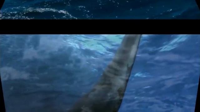 "Shallow" - Мария Панюкова и Максим Швыряев (cover) смотреть онлайн