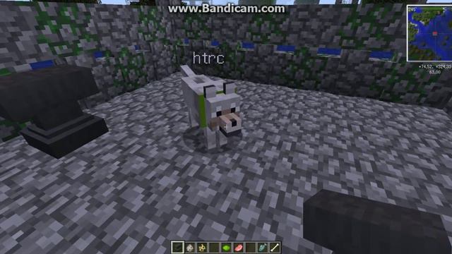 как сделать кошку , собаку и дать им имена смотреть онлайн