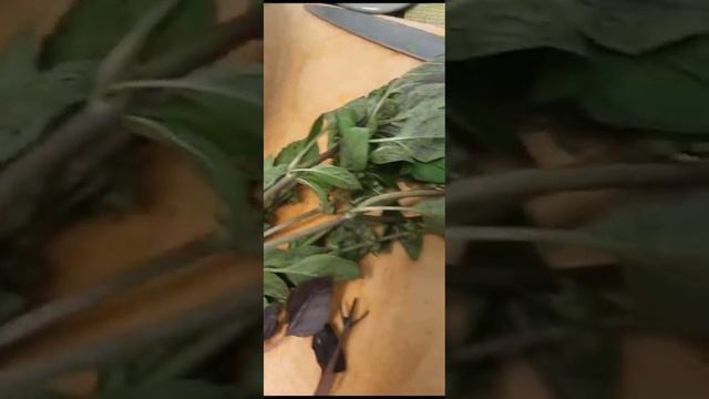 Квашеные баклажаны 🍆🍆🍆 на зиму. смотреть онлайн