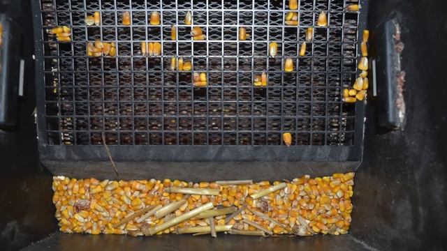 How to Clean Corn смотреть онлайн