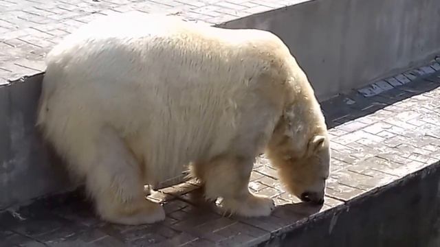 Герда....и немного Кая.... смотреть онлайн