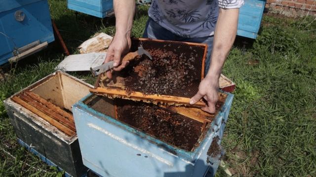 Весенняя ревизия в Апреле, что нужно сделать? часть 3. смотреть онлайн
