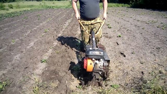 Прополка и окучивание картофеля мотоблоком! смотреть онлайн