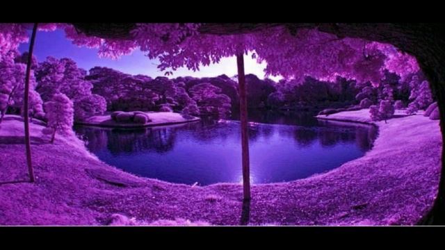 Музыка для релакса и хорошего настроения смотреть онлайн