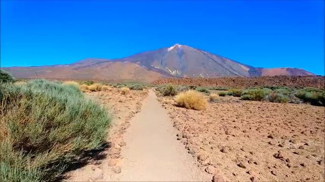 День борьбы с опустыниванием и засухой. World Day To Combat Desertification And Drought. Засуха 202
