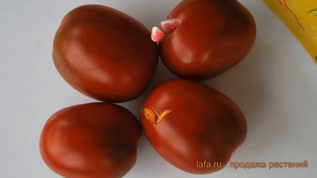 Томат обыкновенный Де Барао (de-barao) ? томат Де Барао обзор: как сажать семена томата Де Барао смотреть онлайн