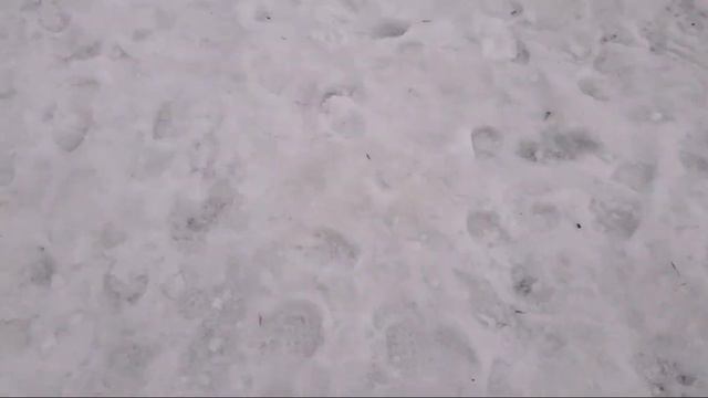 Кто первый попадет в ворота навесом. смотреть онлайн