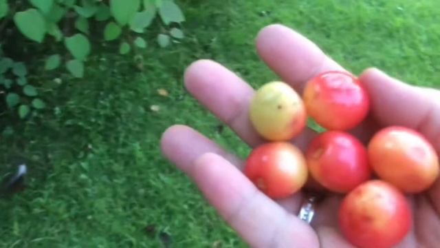 Стройка Движения