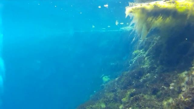 Голубое озеро в Казани. Погружение. смотреть онлайн