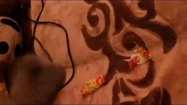 Котенок и фантик (ржака) смотреть онлайн