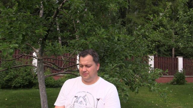 Моя чистка (как я очищал организм) - Лабиринты Знаний смотреть онлайн