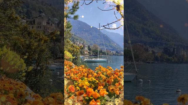 Хороших выходных!💕🥂 смотреть онлайн