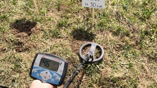 Minelab X-Terra 705, NEW Garrett AT MAX тест и розыгрыш. смотреть онлайн