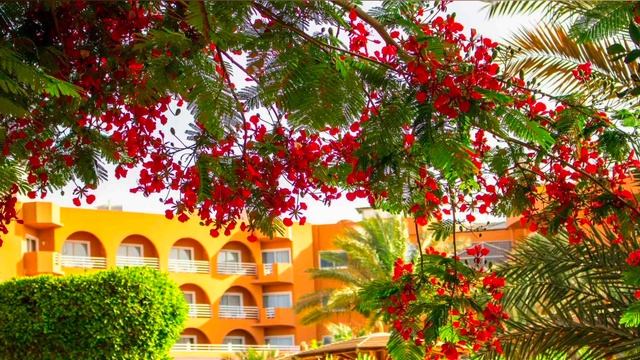 #Golden #Beach #Resort 4_ #Hotel