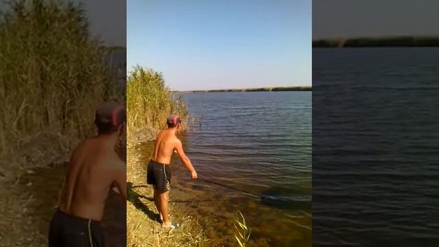 карп 2,8 кг. Феодосия ставок Сараголь смотреть онлайн