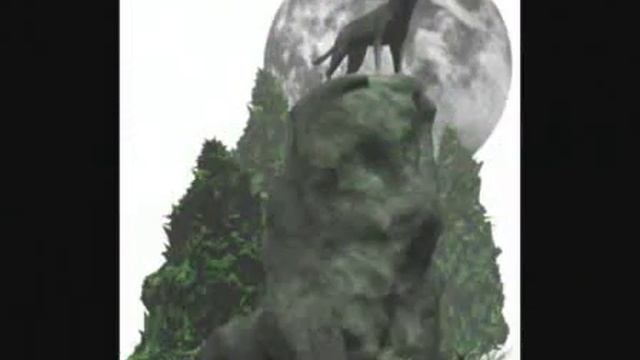 Плачет душа одинокого волка смотреть онлайн