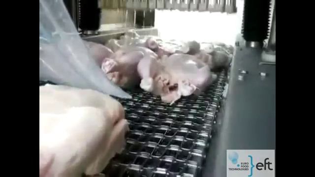 FOMACO (Фомако) Инъектор целая тушка.mp4 смотреть онлайн