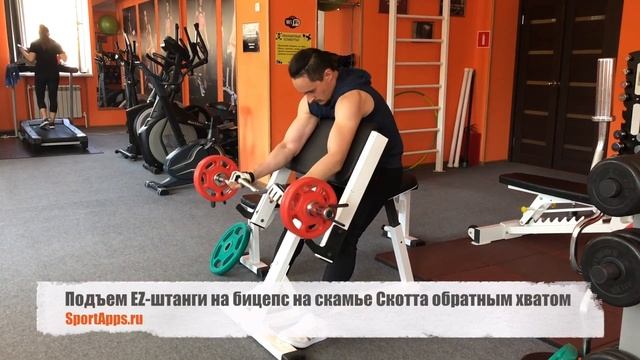 Подъем EZ-штанги на бицепс на скамье Скотта обратным хватом смотреть онлайн